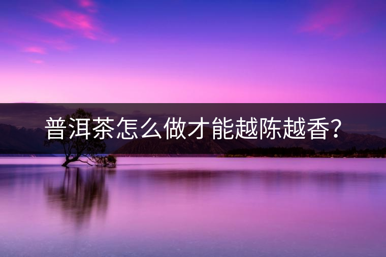 普洱茶怎么做才能越陳越香？