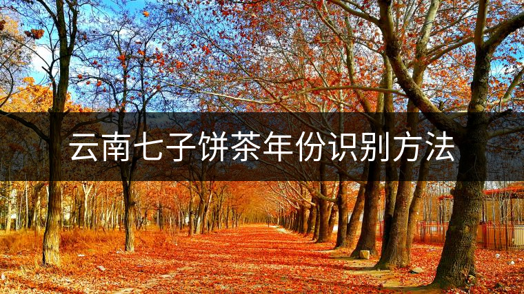 云南七子餅茶年份識別方法