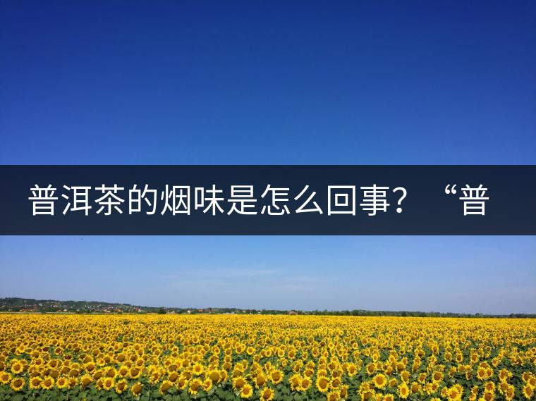 普洱茶的煙味是怎么回事？“普洱教父”白水清最新解析！