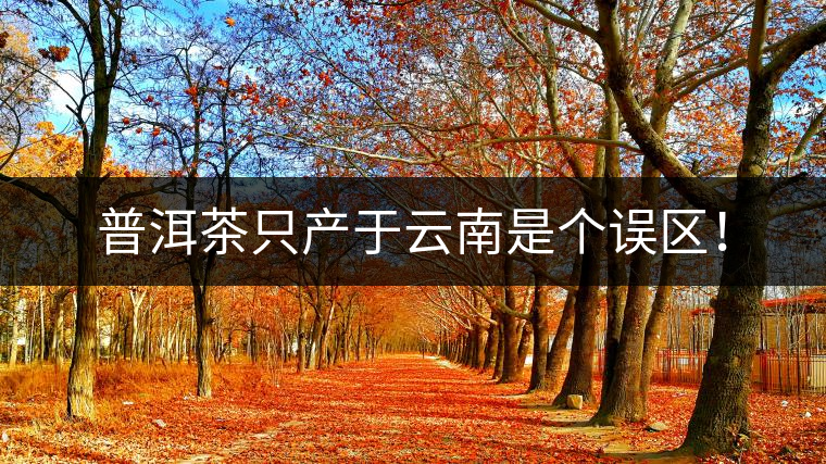 普洱茶只產(chǎn)于云南是個(gè)誤區(qū)！