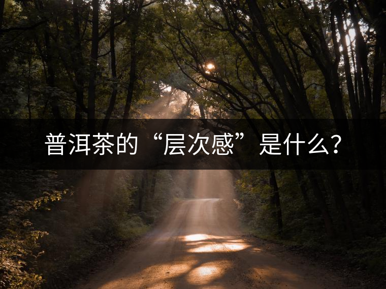 普洱茶的“層次感”是什么？