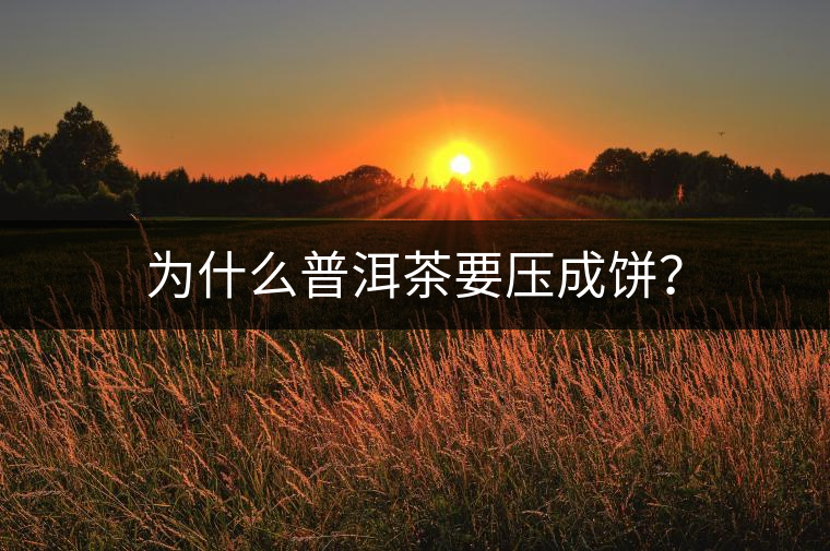 為什么普洱茶要壓成餅？