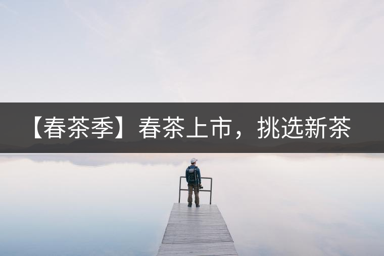 【春茶季】春茶上市，挑選新茶有講究