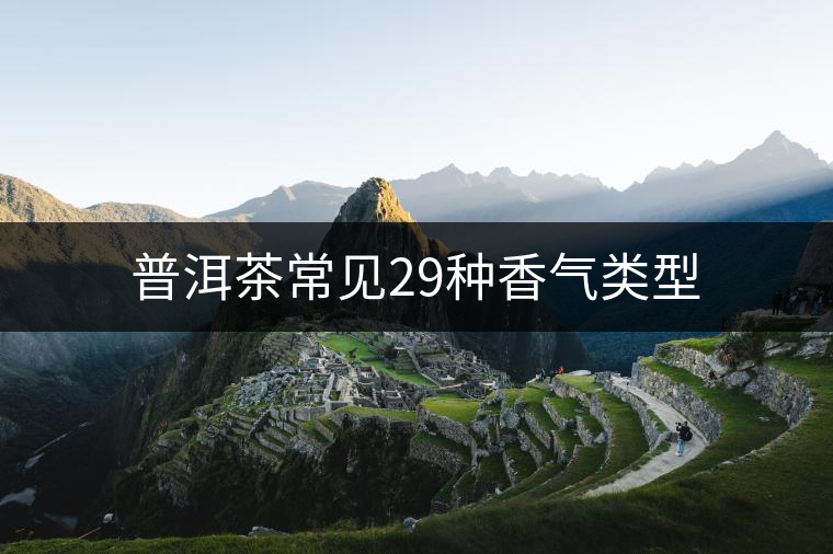 普洱茶常見29種香氣類型