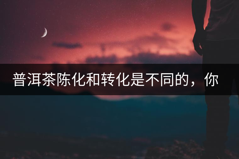 普洱茶陳化和轉(zhuǎn)化是不同的，你造嗎？