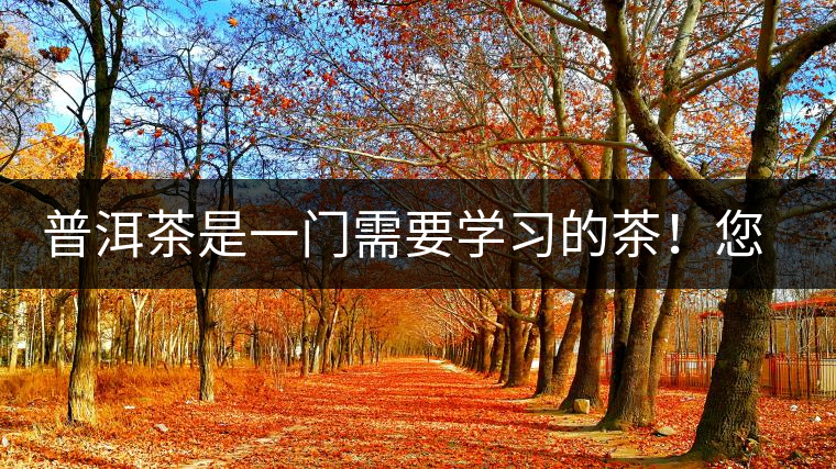 普洱茶是一門需要學(xué)習(xí)的茶！您學(xué)到了多少？看看專家怎么說