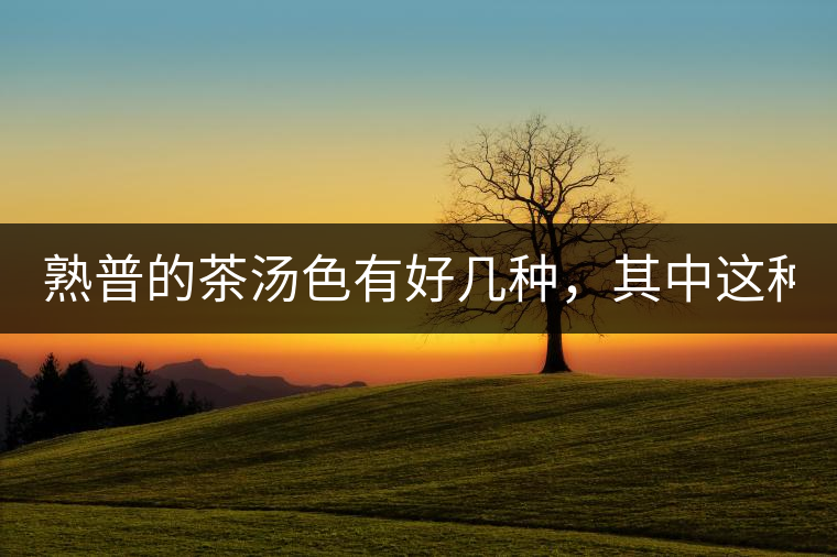 熟普的茶湯色有好幾種，其中這種不建議喝！