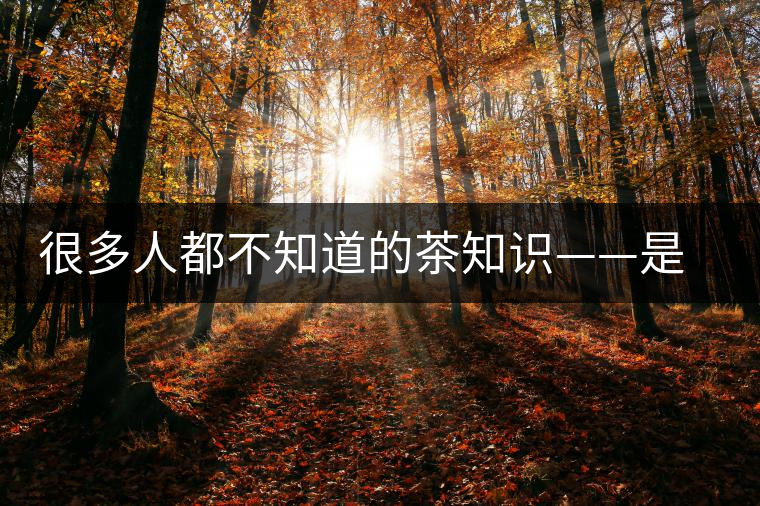 很多人都不知道的茶知識——是什么造就了普洱茶的一山一味？