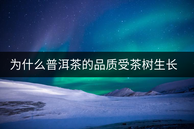 為什么普洱茶的品質(zhì)受茶樹生長(zhǎng)環(huán)境的影響？