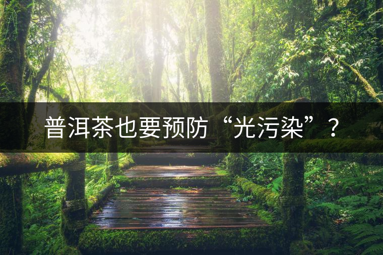 普洱茶也要預(yù)防“光污染”？