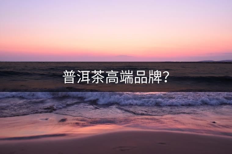 普洱茶高端品牌？