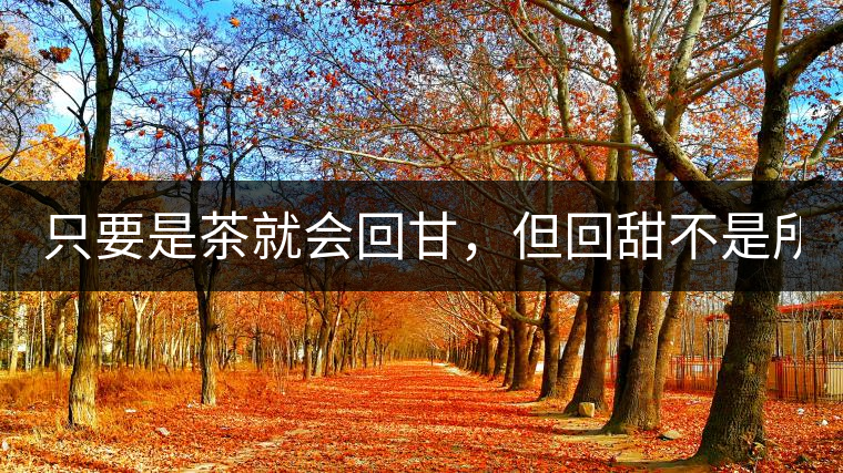 只要是茶就會回甘，但回甜不是所有茶都有！
