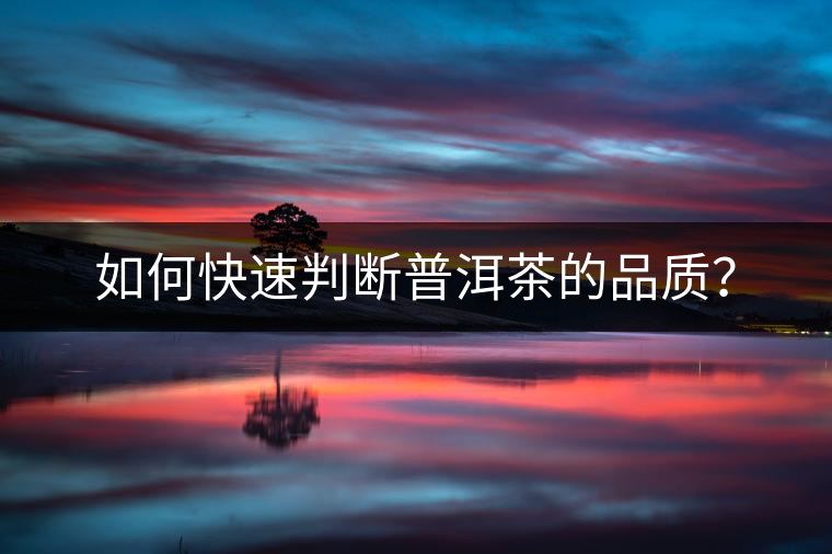 如何快速判斷普洱茶的品質(zhì)？