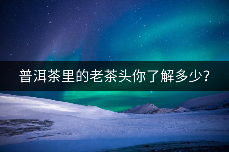 普洱茶里的老茶頭你了解多少? 普洱茶里的老茶頭你了解多少?