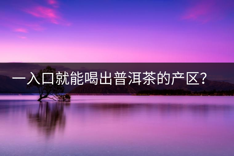 一入口就能喝出普洱茶的產(chǎn)區(qū)？怎么能不讀這篇文章呢？