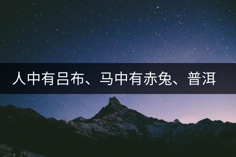 人中有呂布、馬中有赤兔、普洱中有茶化石：碎銀子！