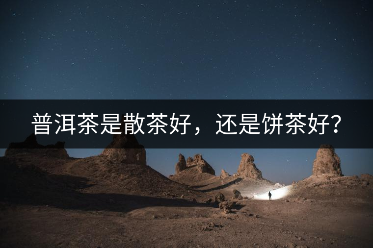 普洱茶是散茶好，還是餅茶好？