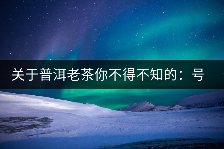 關(guān)于普洱老茶你不得不知的：號(hào)級(jí)茶、印級(jí)茶、七子餅茶
