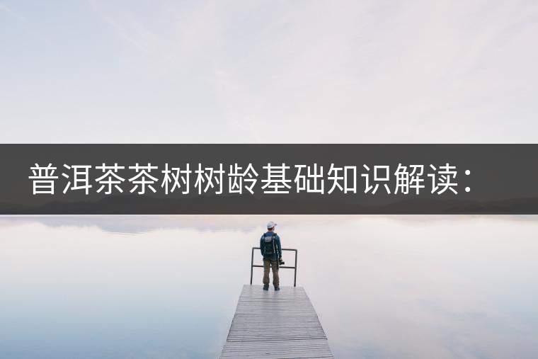 普洱茶茶樹樹齡基礎(chǔ)知識(shí)解讀：多大樹齡的茶才算古樹茶？