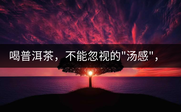 喝普洱茶，不能忽視的