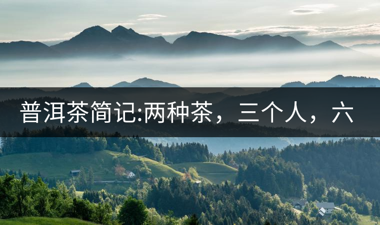普洱茶簡記:兩種茶，三個人，六座山，七塊餅