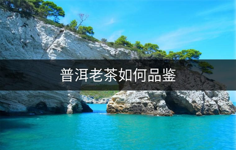 普洱老茶如何品鑒 普洱老茶如何品鑒
