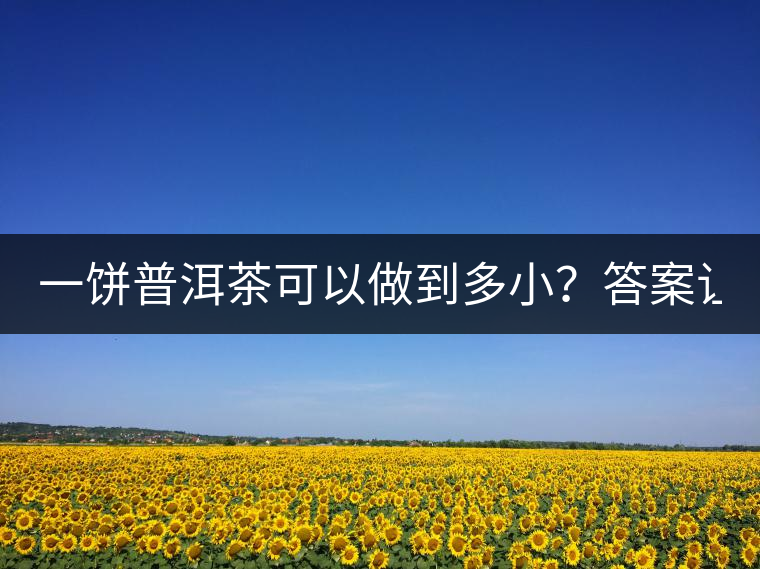 一餅普洱茶可以做到多小？答案讓人意想不到...