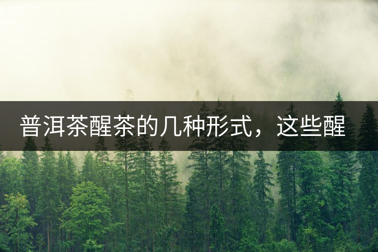 普洱茶醒茶的幾種形式，這些醒茶方法你都會(huì)了嗎？