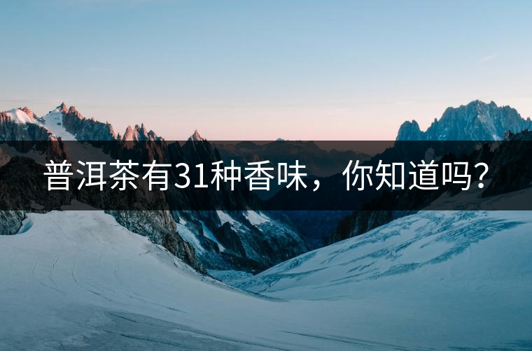 普洱茶有31種香味，你知道嗎？