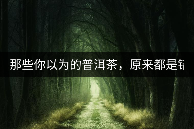 那些你以為的普洱茶，原來都是錯的！