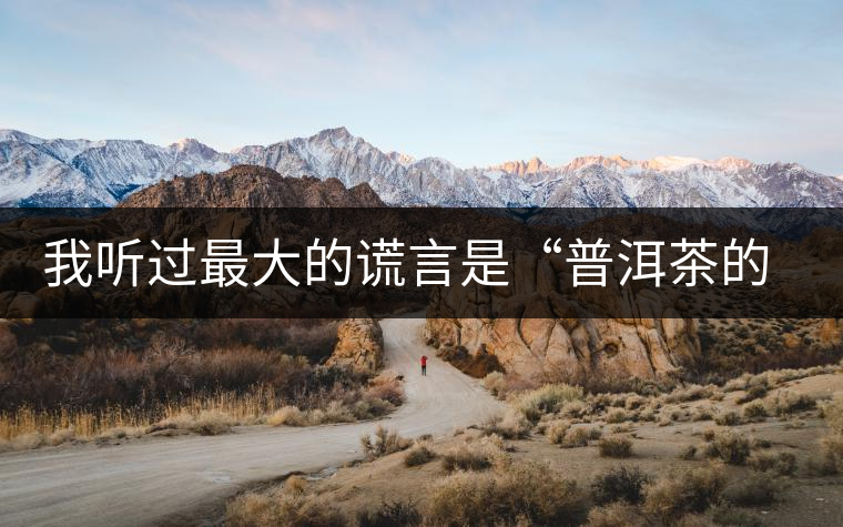 我聽過最大的謊言是“普洱茶的苦、澀、濃，就是霸氣”