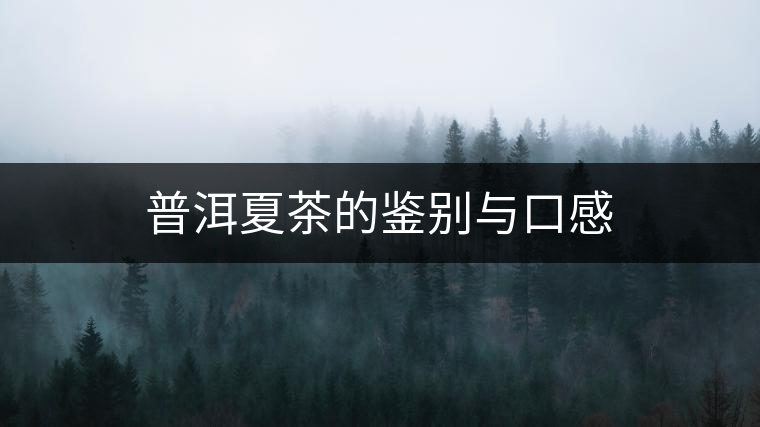 普洱夏茶的鑒別與口感 普洱夏茶的鑒別與口感