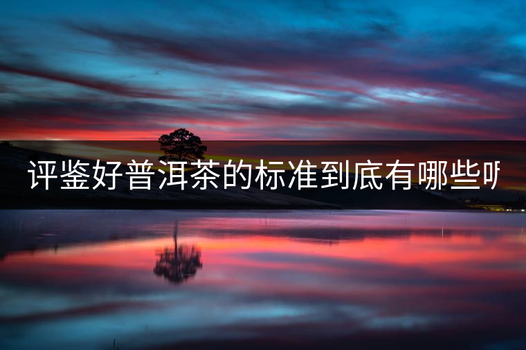 評鑒好普洱茶的標(biāo)準(zhǔn)到底有哪些呢? 評鑒好普洱茶的標(biāo)準(zhǔn)到底有哪些呢?