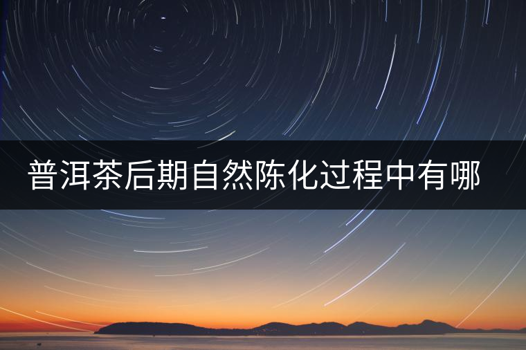普洱茶后期自然陳化過程中有哪些變化？