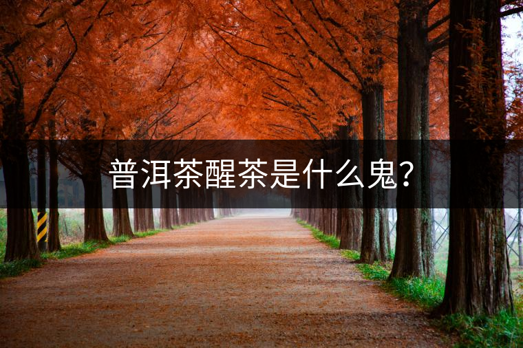 普洱茶醒茶是什么鬼？