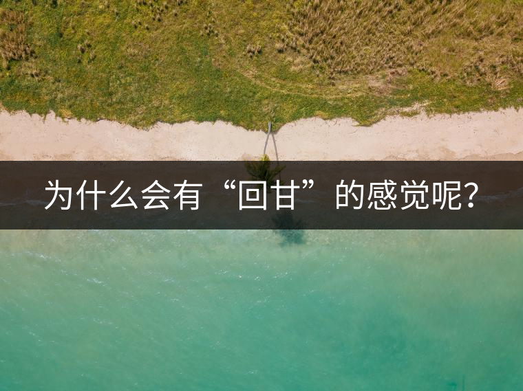為什么會(huì)有“回甘”的感覺呢？