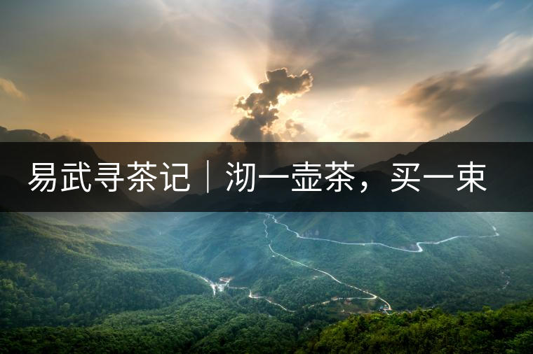 易武尋茶記｜沏一壺茶，買一束花，享半日余暇