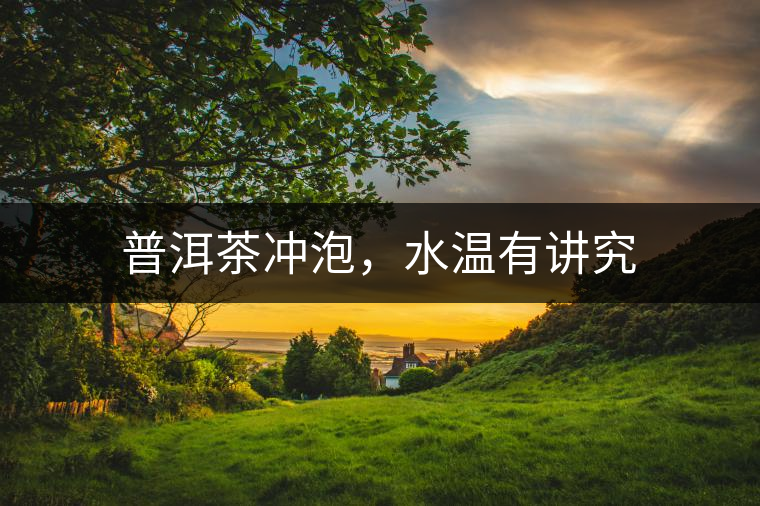 普洱茶沖泡，水溫有講究