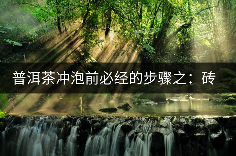 普洱茶沖泡前必經(jīng)的步驟之：磚茶如何撬？