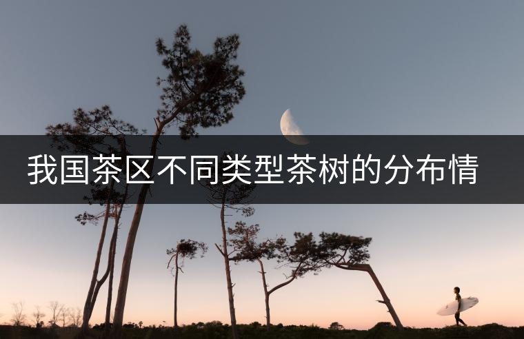 我國茶區(qū)不同類型茶樹的分布情況
