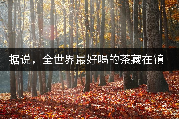 據(jù)說，全世界最好喝的茶藏在鎮(zhèn)沅