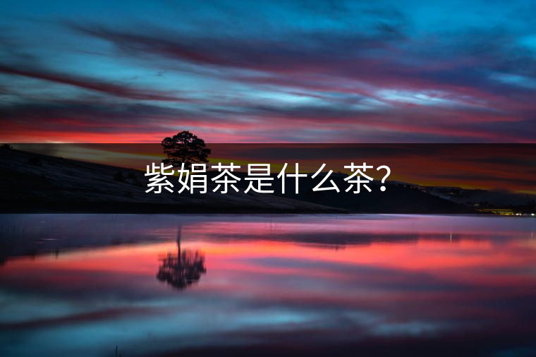 紫娟茶是什么茶？