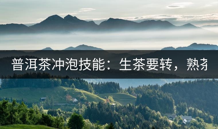 普洱茶沖泡技能：生茶要轉(zhuǎn)，熟茶要柔！