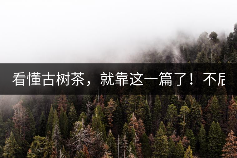 看懂古樹茶，就靠這一篇了！不后悔!