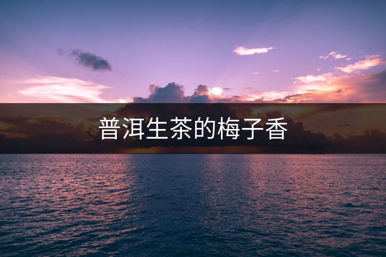 普洱生茶的梅子香 普洱生茶的梅子香