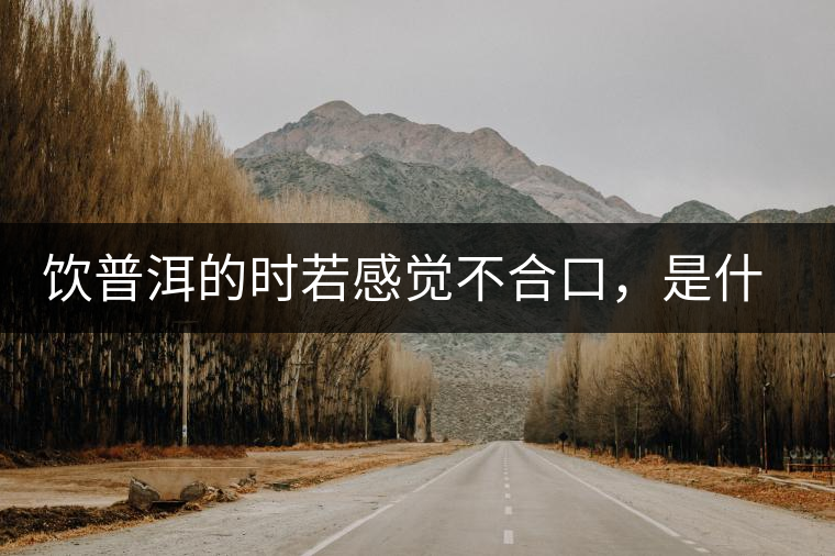 飲普洱的時(shí)若感覺(jué)不合口，是什么原呢？