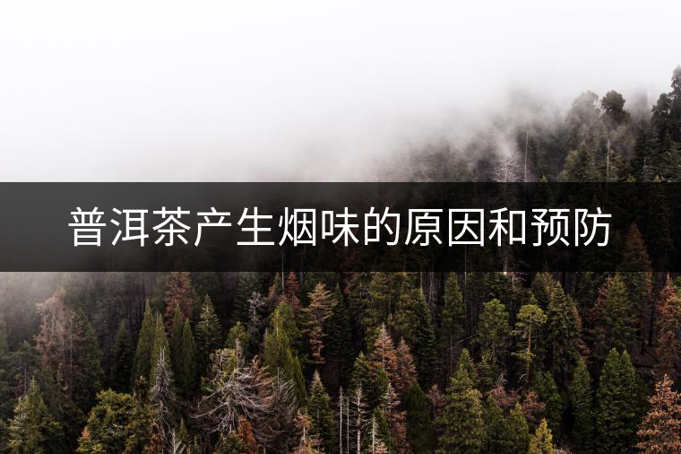 普洱茶產(chǎn)生煙味的原因和預(yù)防