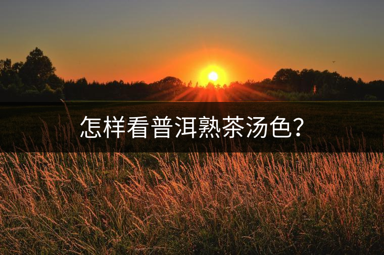 怎樣看普洱熟茶湯色？
