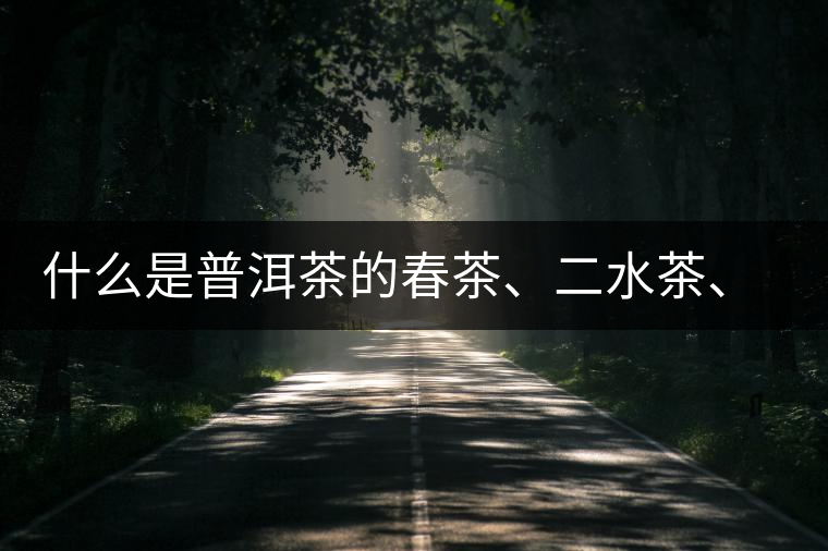 什么是普洱茶的春茶、二水茶、三水茶、四水茶