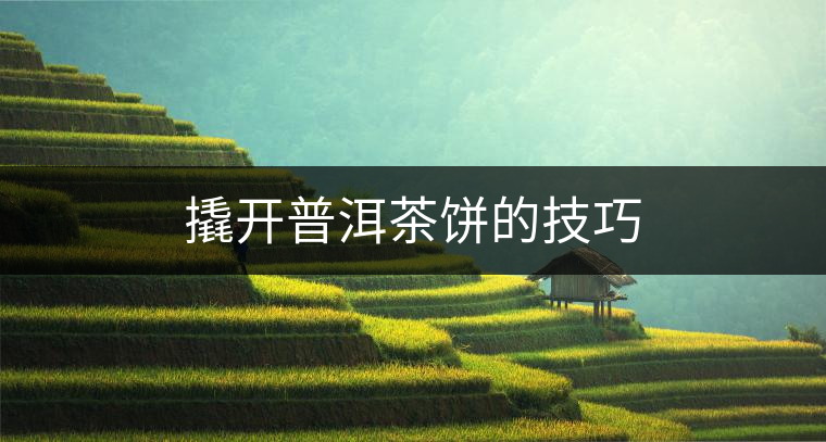 撬開普洱茶餅的技巧 撬開普洱茶餅的技巧